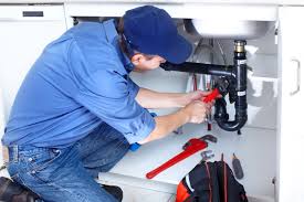 Plumbing System Maintenance in La Joya, TX